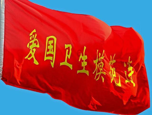 漂亮鹦鹉救援